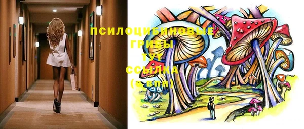 дмт Новозыбков