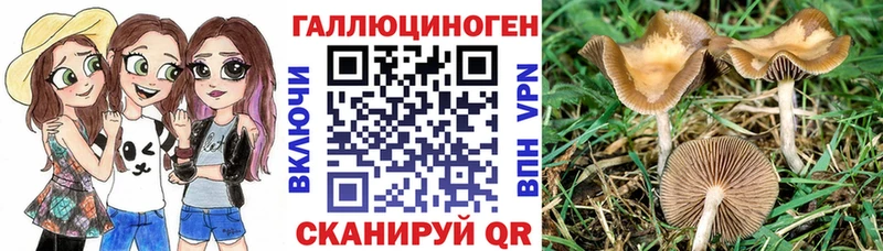 Псилоцибиновые грибы мухоморы  что такое наркотик  блэк спрут   Бузулук 